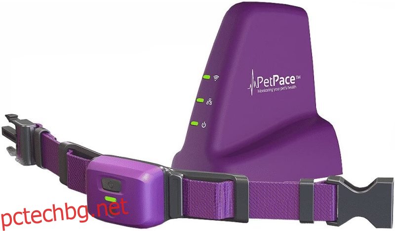 PetPace Smart Collar с 12 месеца Pet Plus наблюдение