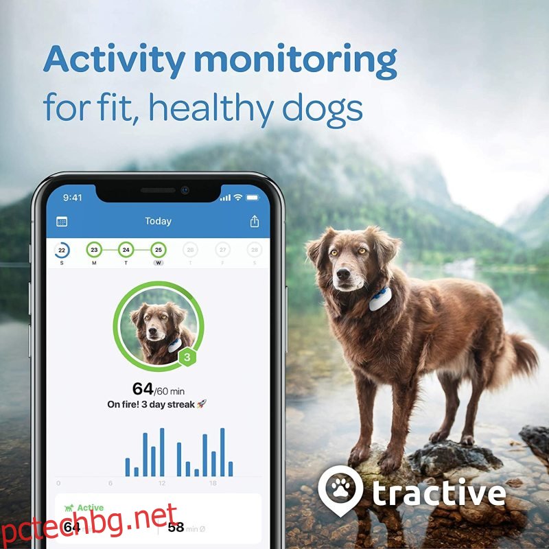 Трактивно LTE GPS проследяване на кучета