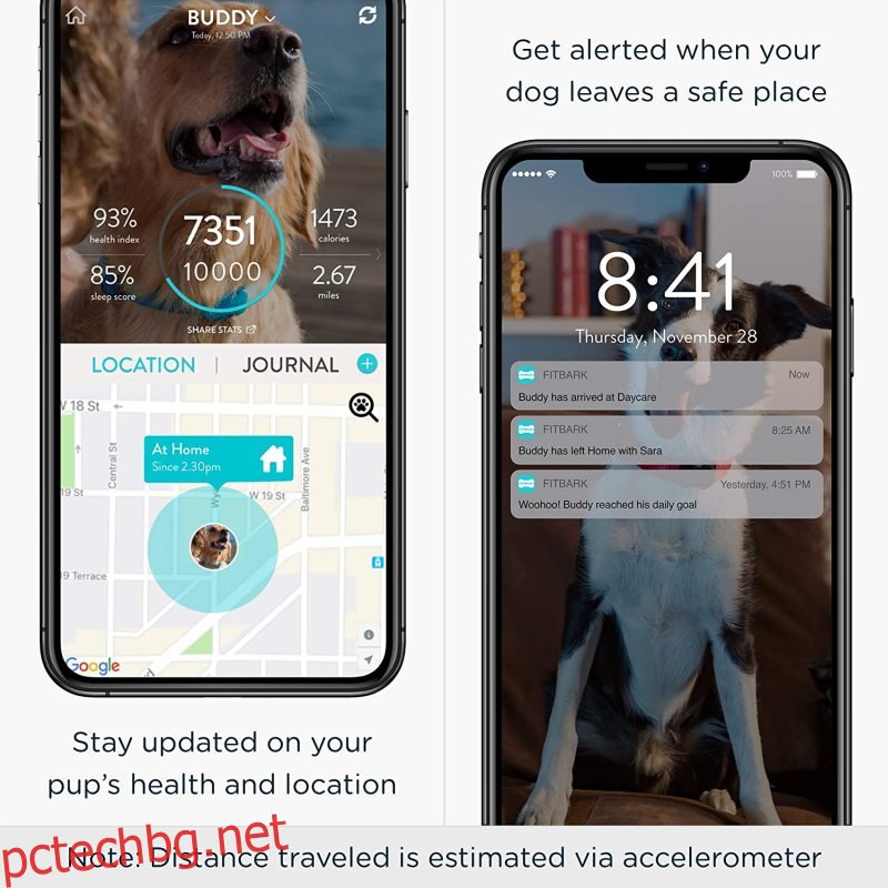 FitBark GPS проследяване на кучета |  Интелигентна яка за проследяване на здравето и местоположението на домашни любимци