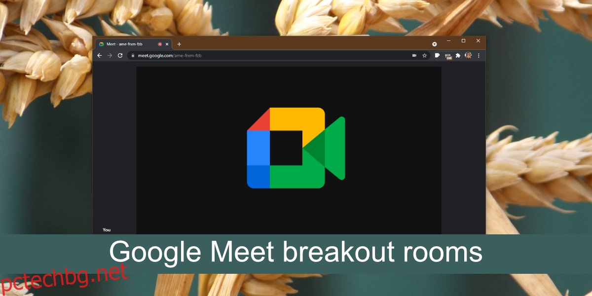 Стаи с разбивки на Google Meet